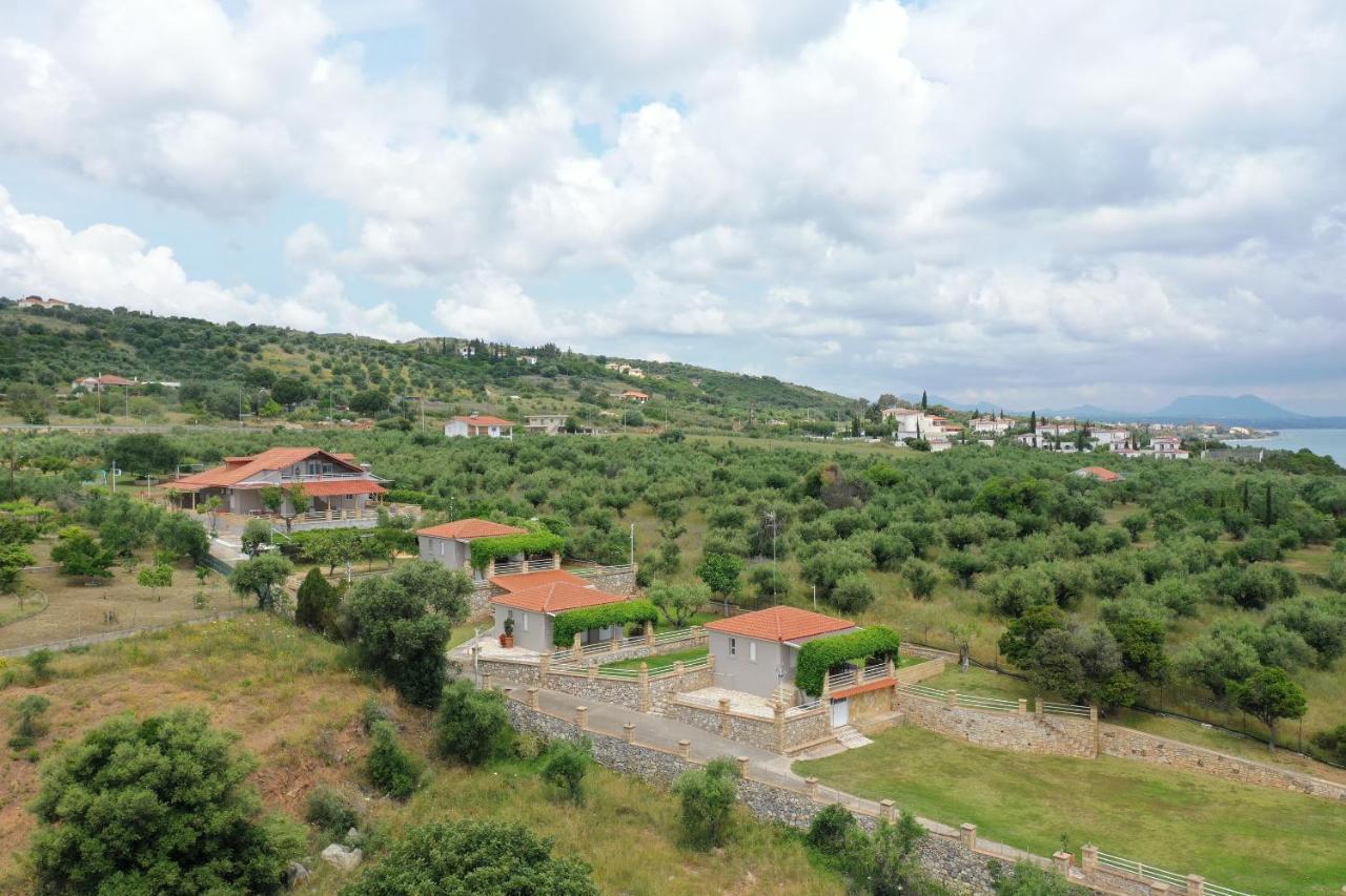 Alexandros Seaside Family Apartments & Villas - Paradise, 7' From Petalidi Kalamaki (Messinia) Exterior foto