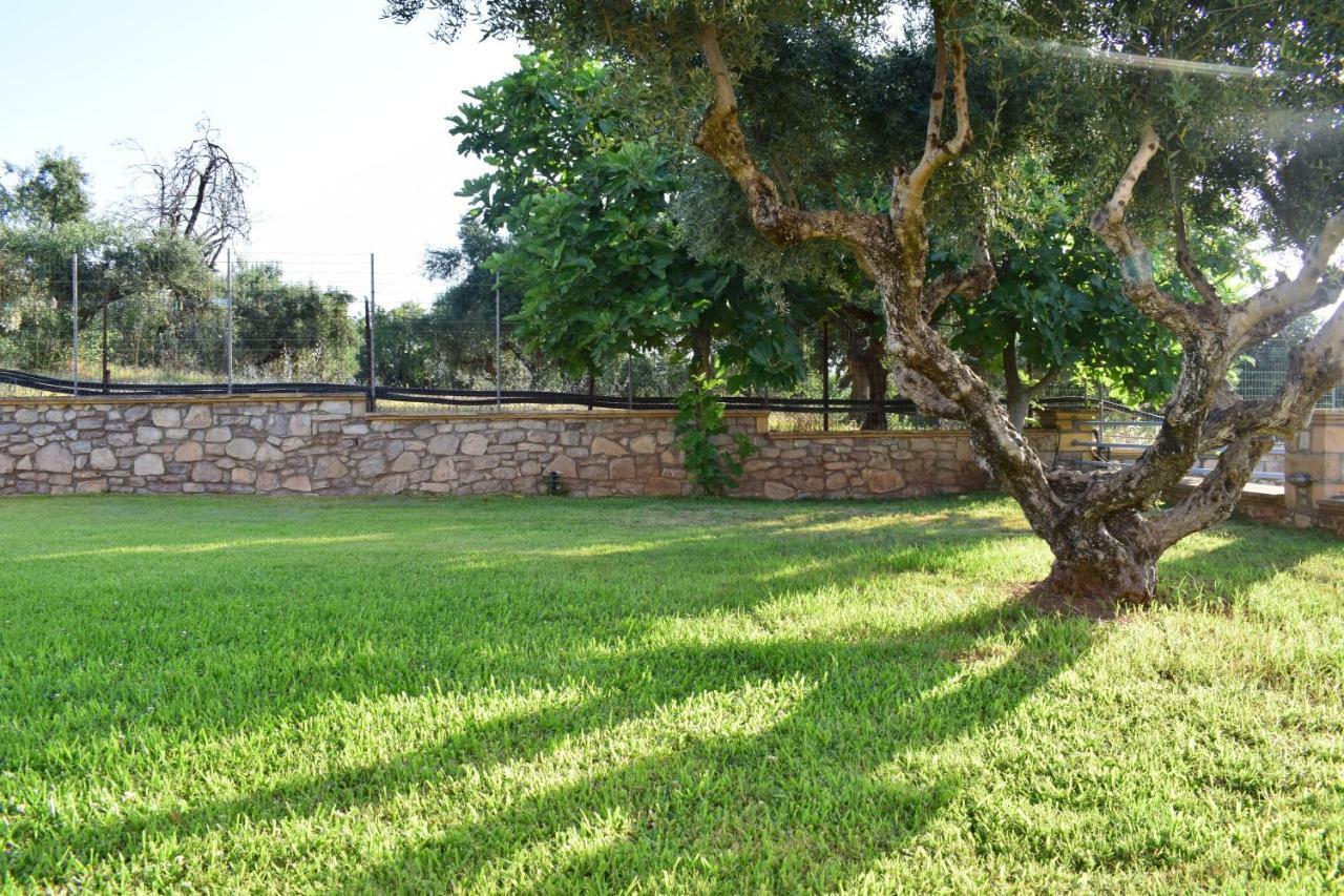 Alexandros Seaside Family Apartments & Villas - Paradise, 7' From Petalidi Kalamaki (Messinia) Exterior foto