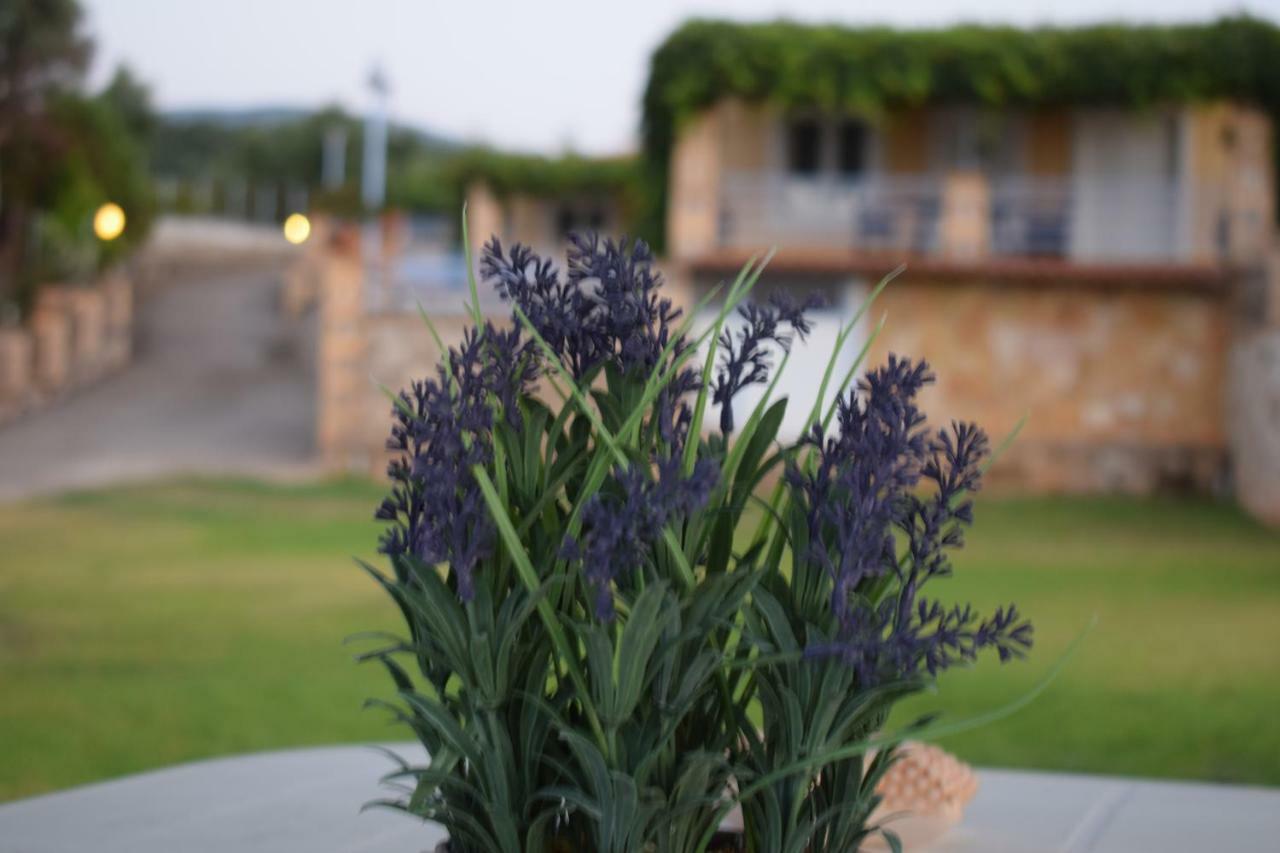 Alexandros Seaside Family Apartments & Villas - Paradise, 7' From Petalidi Kalamaki (Messinia) Exterior foto
