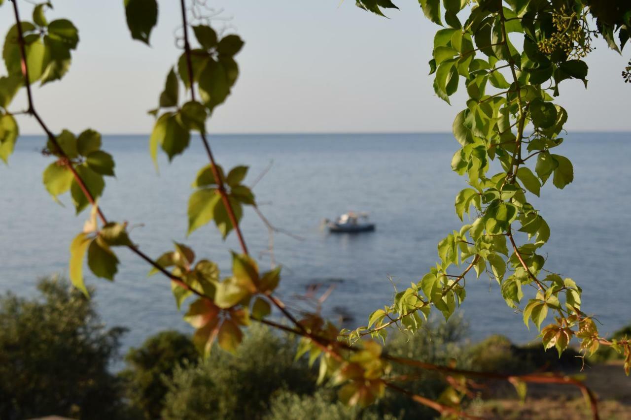 Alexandros Seaside Family Apartments & Villas - Paradise, 7' From Petalidi Kalamaki (Messinia) Exterior foto